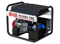 Бензиновый генератор Fogo FH6001TRE с АВР